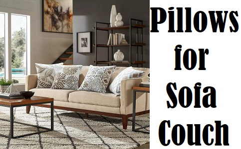 Pillows for Sofa Couch